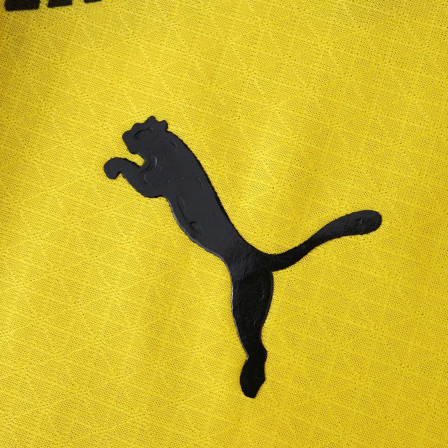 BORUSSIA DORTMUND HOME 25/26