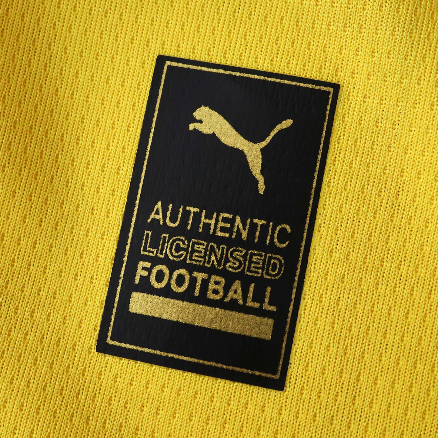 BORUSSIA DORTMUND HOME 25/26